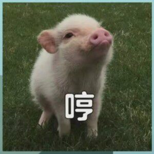 利牧饲料添加剂经营部的LOGO