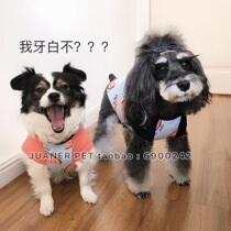 Summer Lovely Coloring Watermelon VIP Chenary Teddy Better Panda Clothes T-shirt