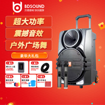 Bede Xinfeng fan outdoor mobile portable square dance high-power 8-inch 12-inch battery charging rod audio