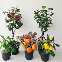 Chinese simulation camellia home living room furnishings Bed and breakfast tea Lemon tree pomegranate fruit potted plant potted plant