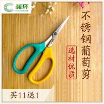 Vegetable and fruit scissors stainless steel cocked head grapes special scissors for fruit cutting fruit cut pepper pepper picking fruits and vegetables