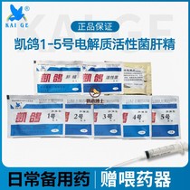 Kai pigeon parrot medicine cold runny nose pigeon single eye cold pull thin water stool green stool deworming medicine