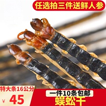 Chinese herbal medicine without splicing 16cm whole piece of Hubei centipede dry 10 with Scorpion dry Leech dry