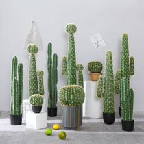 Cactus column ball simulation plant decoration large Nordic ins creative fake green plant potted indoor floor ornaments