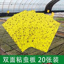 Yellow plate double-sided sticky insect plate trap blue plate greenhouse Orchard thrips insect paper fruit fly trap small flying insect needle Bee