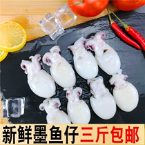 Fresh frozen cuttlefish fresh fresh frozen frozen seafood flower cuttlefish squid small cuttlefish hotel commercial wholesale