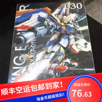 Spot Shunfeng high MG 1 100 EW flying wing hair wing hair flying wing Angel assembly model