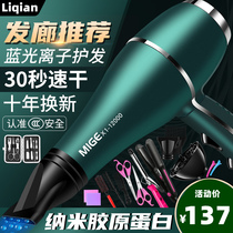 German imported hair dryer home quick-drying barber shop dedicated high-power 3000W Watt negative ion hair care dormitory