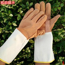 Picking cotton gloves picking up cotton picking cotton for wear-resistant pepper prickly gloves Cactus rose chestnut gardening