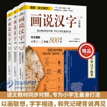 Genuine Xu Shen Painting Chinese Characters A complete set of 3 volumes of primary school edition 123456 grade learning reading materials Illustrated Wen Jiezi 2700 Chinese Character Story Chinese Literature Book Book Chinese Character Memory Skills Book