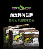 Hatching Moisturizing Hibernating turtle hibernating coconut climbing pet mat Spider snail reptile box brick Minus REPTI ZOO