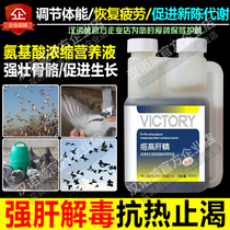 Hannover pigeon medicine (Vigo liver essence) Pigeon Pigeon Pigeon supplies enhanced liver semen young pigeon Parrot Bird pigeon medicine
