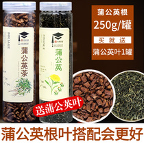 Buy 1 Hair 2 dandelion root tea non-wild whole root female specialty White Mountain dandelion grade ancient Gouding tea