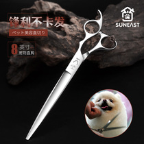 Pets Professional Beauty Scissors Straight Cut Pooch Cut pooch Hair Cut Hair Cut Beauty Scissors Teddy Gold Hair Pet Cut