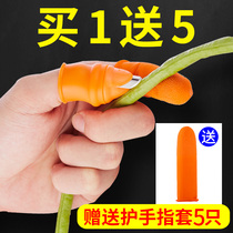 Picking pepper artifact Picking bean horns Agricultural iron nails thumb knife cutting vegetables pinching tip picking machine new special gloves