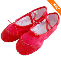 Cat Paw Dancing Shoes Cross Soft Bottom Dance Shoes Girls Adults Practice Shoes Strap Ballet Shoes Flat flat Shoes Flat flat shoes