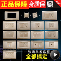 Bull 118 type switch panel household concealed wall dual control two six 6 hole brushed gold power outlet G21