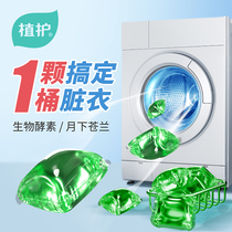 Plant protection 15 laundry beads laundry detergent fragrance long-lasting fragrance decontamination family real-life clothes perfume type
