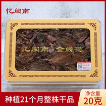 (Yi Minnan _ Fujian Clematis whole dry plant 20g gift box) 21 months of planting in the original ecology under the forest