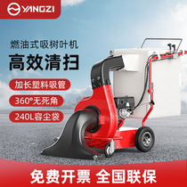 Yangzi self-walking leaf suction machine lawn garden grass grass suction Park school garden sweeping deciduous sweeper