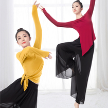 Dance costume Practice suit Womens top Summer short sleeve Modal classical dance body modern dance wide leg pants suit