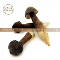 Black Pheasant mycorrhizal Black Termite Mushorom 150g mycorrhizal mushrooms