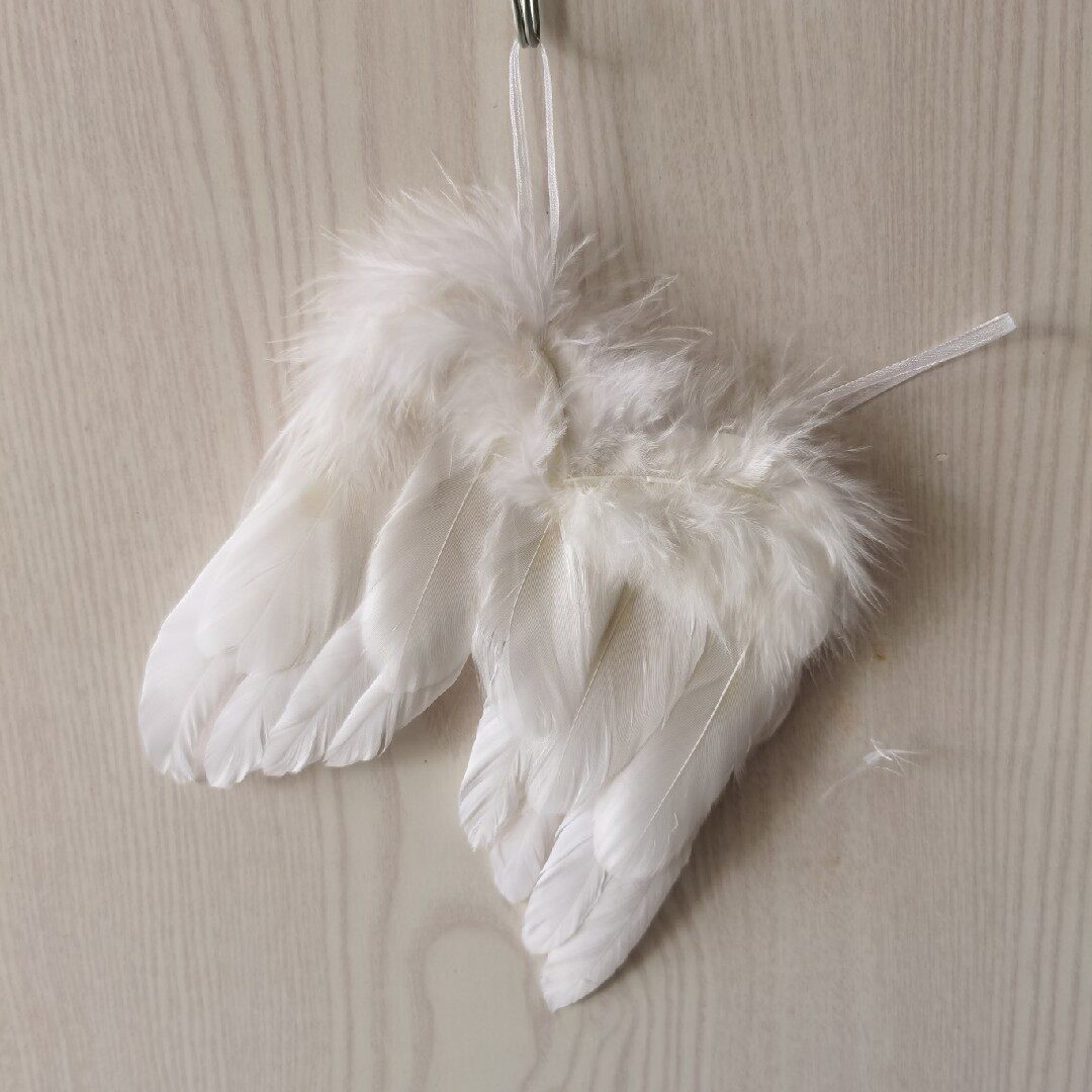 Children shoot props to decorate gift Christmas feather angel wings
