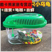 Little turtle animal with cylinder children with pet gift children raised children with children cute pupil cylinder