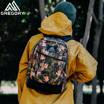 Gregory Gregory CASUAL DAY 22L city leisure Daily shoulder bag schoolbag tide bag