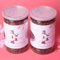 (Buy 3 get 1) authentic health dandelion root 350g tea black tea non Changbai Mountain natural pure dandelion tea