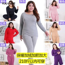 New autumn pants women plus velvet plus fat plus size 200 jin fat mm pregnant women Base thermal underwear set