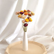 Yunnan Natural Air-dried Flower Daisy Sun Flowers Real Flowers Buns Net Red Decoration Pendulum with a vase to shoot props