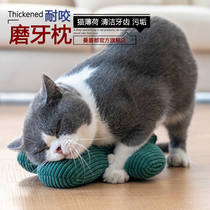 Mancido Cactus cat toys cat supplies self-Hi catnip toys cat Cat pillow relief stuffy resistant to bite teeth