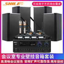 Lion Music AV108 conference room audio set Home KTV amplifier Conference training dance studio shop wall-mounted speaker