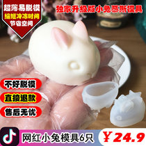 Send tutorial three-dimensional rabbit silicone mold pudding rabbit jelly milk jelly mousse cake mold White Rabbit