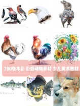 780 Zhang childrens art watercolor animal teaching material K12 art courseware childrens entry materials HD studio training