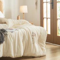 Type A raw cotton quilt core pure cotton soybean fiber air-conditioning quilt single spring and autumn quilt double cotton thick warm winter quilt