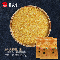  Shanxi miscellaneous grains Xiaohuang Rice Jiupin Qinzhou Huangshi milled millet 450g*4 porridge rice Gongmi New rice Free shipping