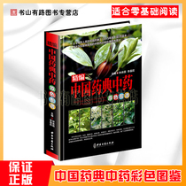  Fine compilation of Chinese Pharmacopoeia Primary color map of Traditional Chinese Medicine Color map of hardcover genuine illustration of Chinese Herbal Medicine Color map selection of more than 300 commonly used Chinese Herbal Medicines Compendium of Traditional Chinese Medicine Health Care Materia Medica Introduction to Chinese Medicine