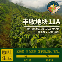 Costa Rica DON MAYO 11A Harvest Plot Red Kaduai anaerobic sun-dried Yikefang green beans 2021