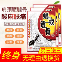 Black ant bone-penetrating paste Shoulder circumference paste Knee synovial joint paste tendon sheath lumbar pain lumbar pain Cervical spine paste
