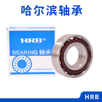 HRB Harbin Bearing 7200 7201 7202 7203 7204 7205 ACTA P5 DB DF DT