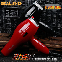 Hercules 5930 light and smart 2000W hair dryer with air nozzle hairdressing Hair Dryer Professional Hair Dryer