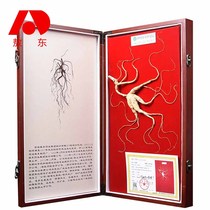  Jilin Aodong ginseng forest ginseng Northeast Changbai Mountain wild moving mountain ginseng bubble wine gift box gift with sign