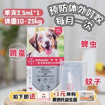 (Shunfeng) Spoiled dogs with in vitro anthelmintic drops to remove flea Bayer deworming 10-25kg single branch