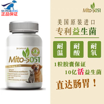 American MITO5051 pet probiotic Cat and dog Gastrointestinal allergy Three high soft stool Diarrhea diarrhea vomiting