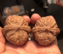 Poly Friends Source 2021 Wen Play New Boutique Downtree Great Reunion Gate Piers Lions Heads Whole Pint Small Size 40 Guan Hats