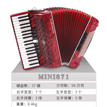 PARROT MINI 871 accordion 37 keys 96 bass Adult professional examination beginner playing instrument