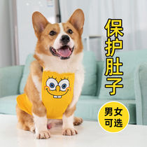 Dogs clothes spring and autumn kirky dogs are anti-cool clothes autumn and winter money is more than bear clothes small dogs warm and fighting clothes