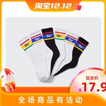 (Radish Cooperative) Four Seasons